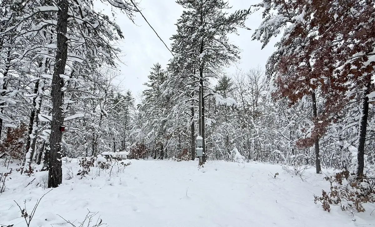 11335 S Broadway Street, Bitely, MI 49309 - Image #1