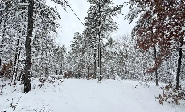 11335 S Broadway Street, Bitely, MI 49309