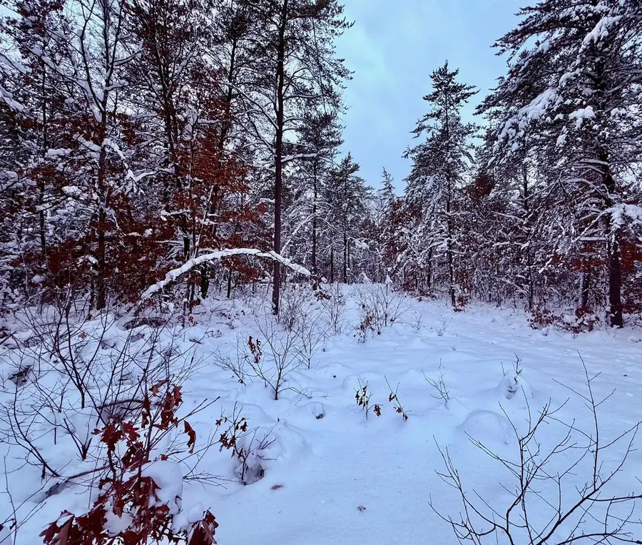 11335 S Broadway Street, Bitely, MI 49309 - Image #2