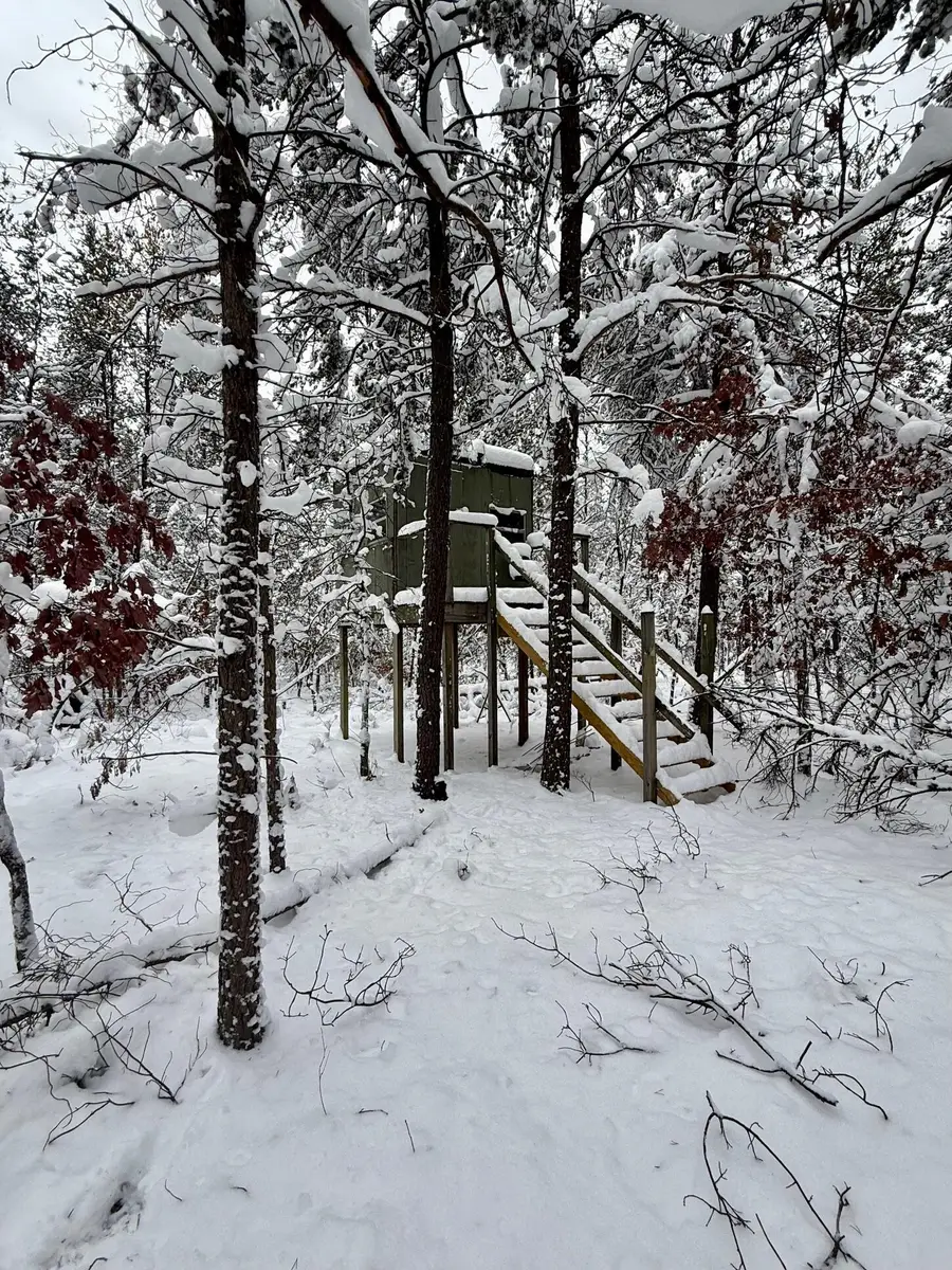 11335 S Broadway Street, Bitely, MI 49309 - Image #3