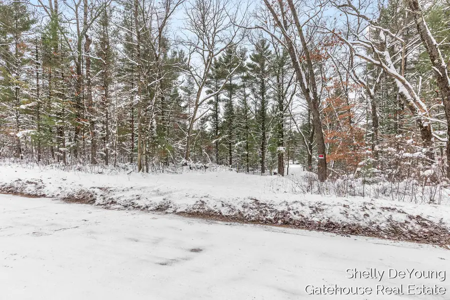 6007 S Cypress Avenue, Newaygo, MI 49337 - Image #3