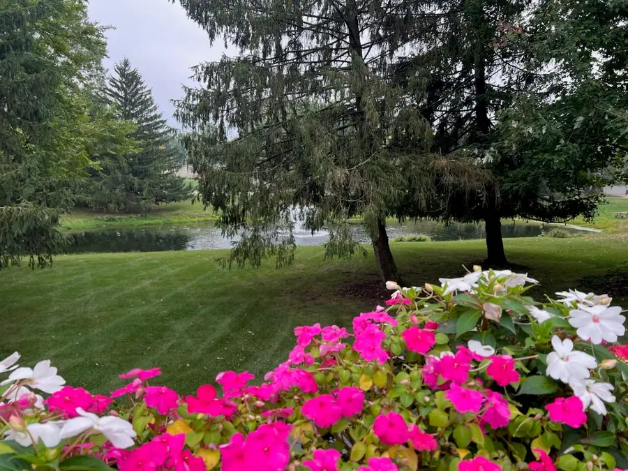 6316 Duxbury Drive Se, Ada, MI 49301 - Image #2