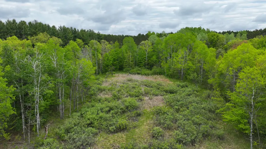 V/L W 1 Mile Road, White Cloud, MI 49349 - Image #2