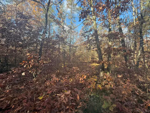 3544 S Cornell Avenue, Baldwin, MI 49304