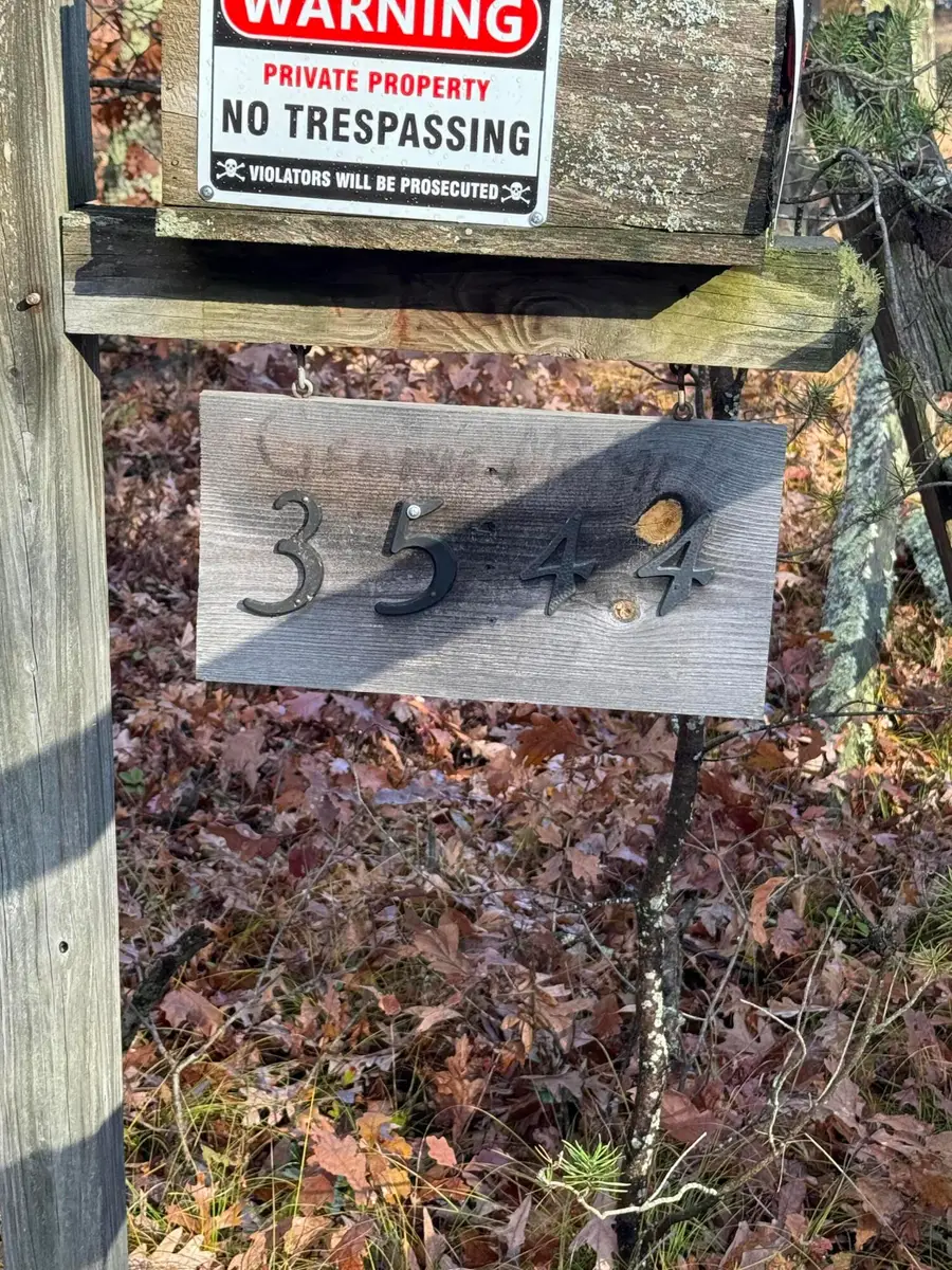 3544 S Cornell Avenue, Baldwin, MI 49304 - Image #2