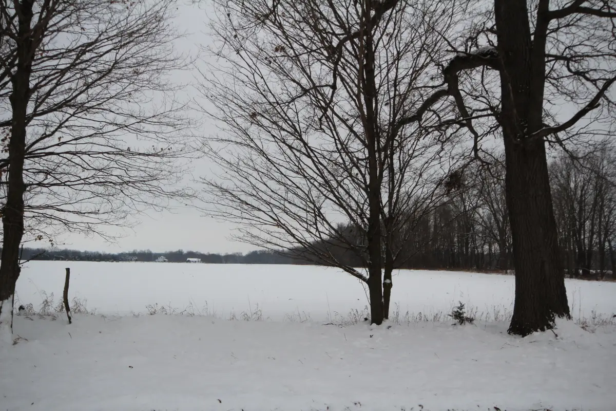 8016 E Xy Avenue, Vicksburg, MI 49097 - Image #1