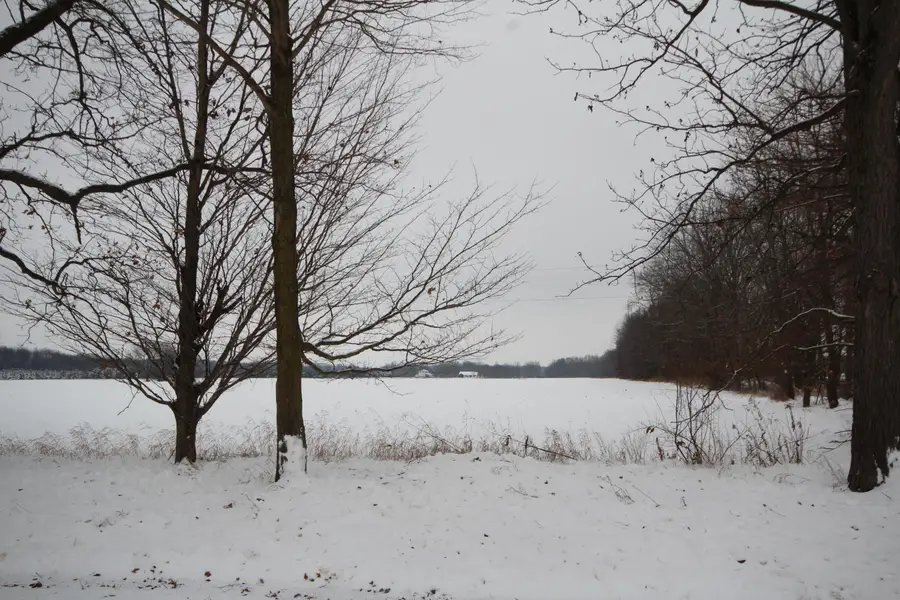 8016 E Xy Avenue, Vicksburg, MI 49097 - Image #3