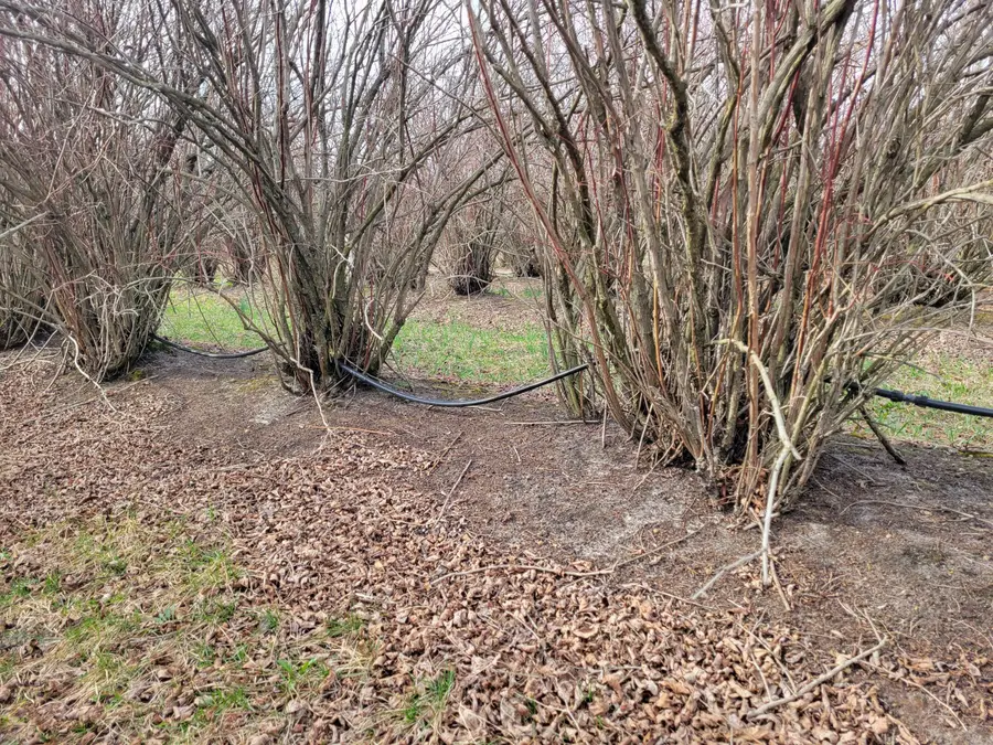 V/Land 72nd Street, Covert, MI 49043 - Image #2