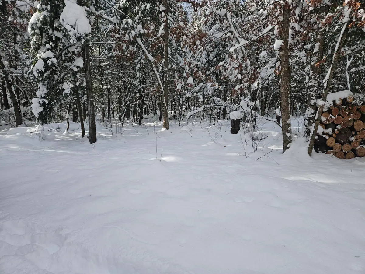 7106 N M-37, Irons, MI 49644 - Image #1