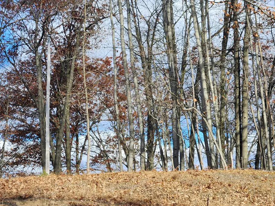 10980 N Marywood Drive, Stanwood, MI 49346 - Image #3