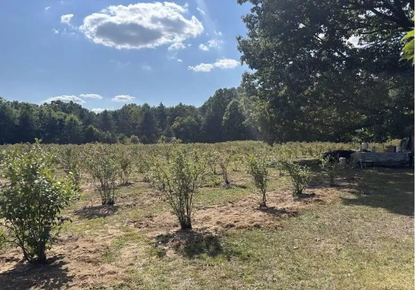 80380 42nd Street, Decatur, MI 49045 - Image #2