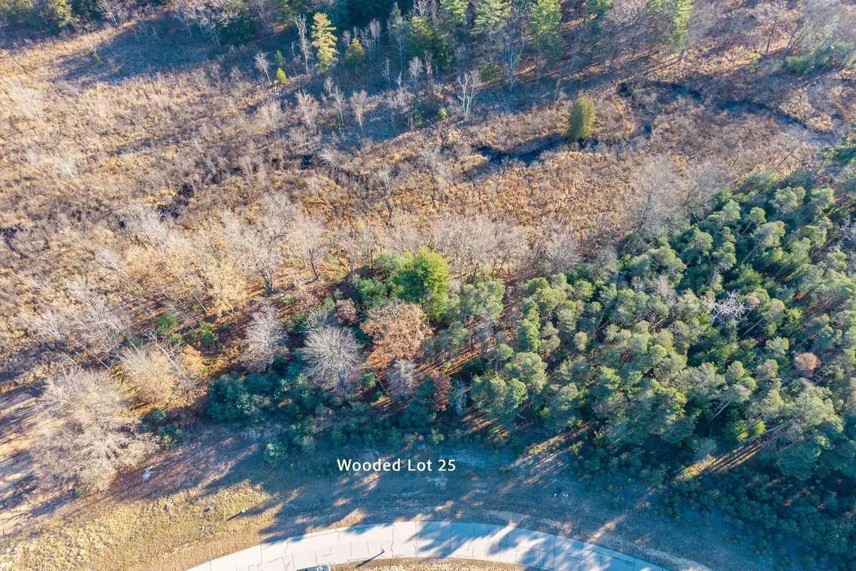 11250 Killarney Drive, Stanwood, MI 49346 - Image #1