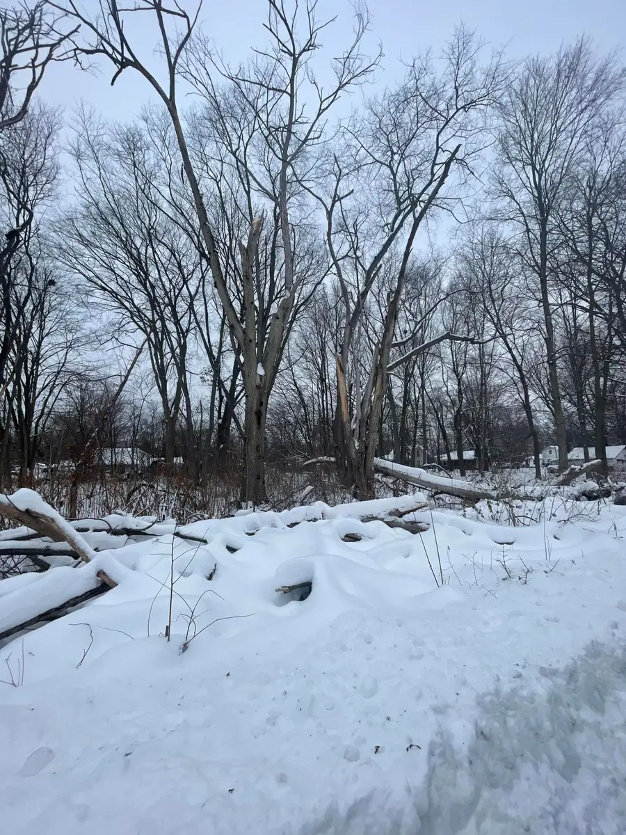 V/l 13th And Cypress Court, Three Rivers, MI 49093 - Image #2