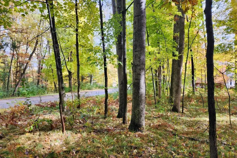 11875 Timberlane Drive #119, Stanwood, MI 49346 - Image #2