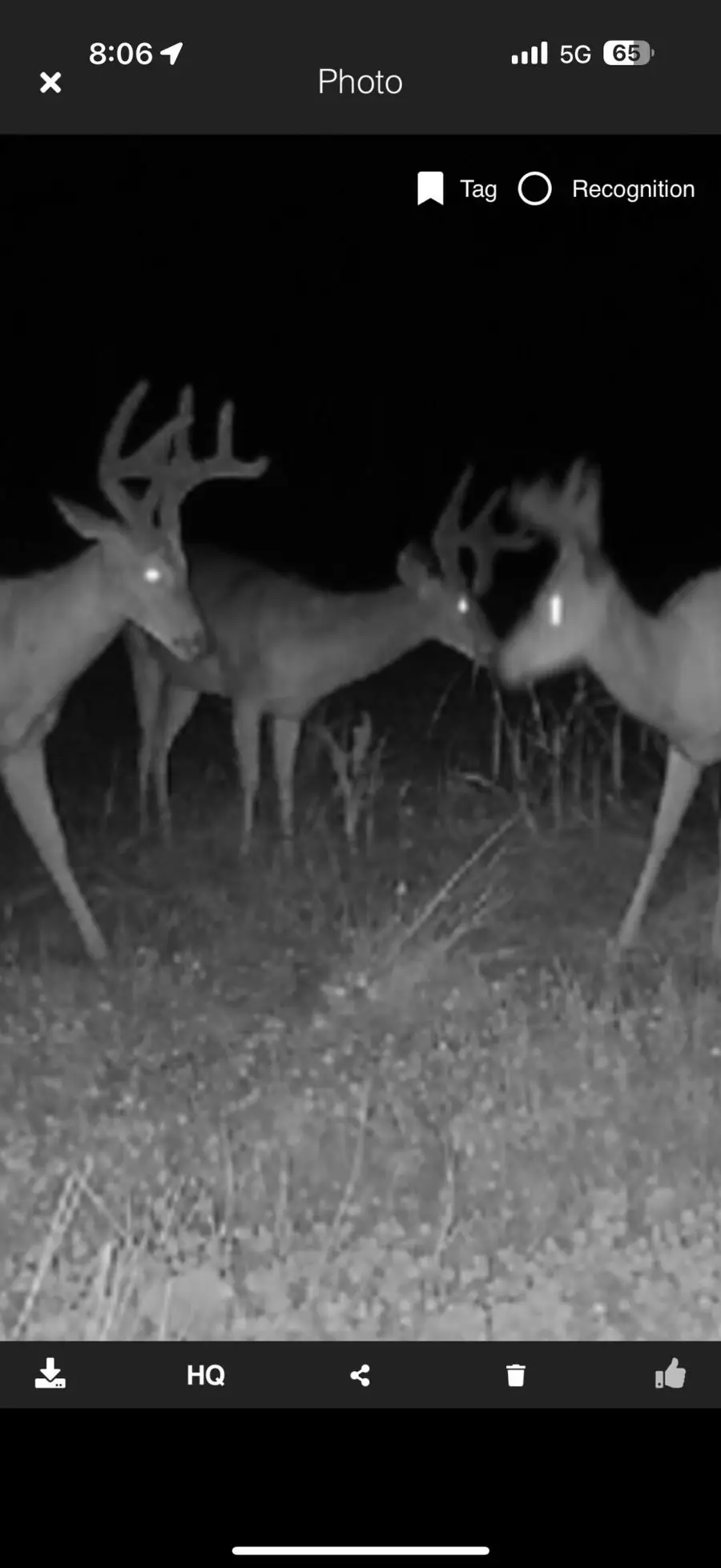 490 Kelley Road, Reading, MI 49274 - Image #2