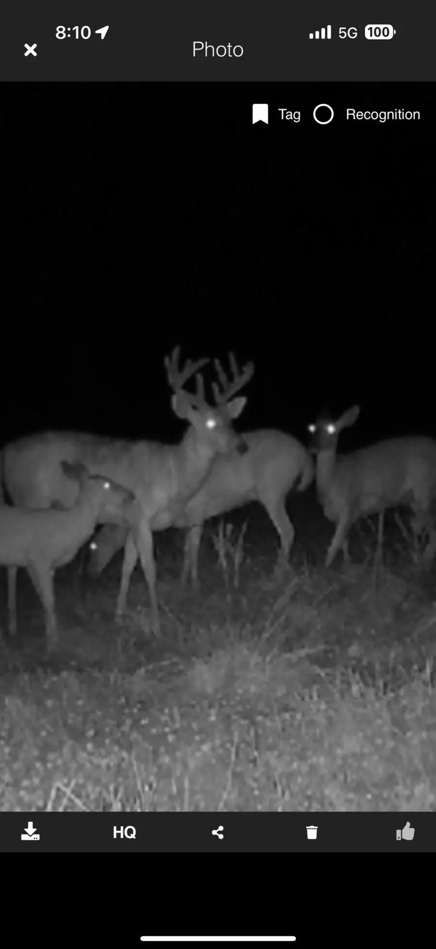 490 Kelley Road, Reading, MI 49274 - Image #3