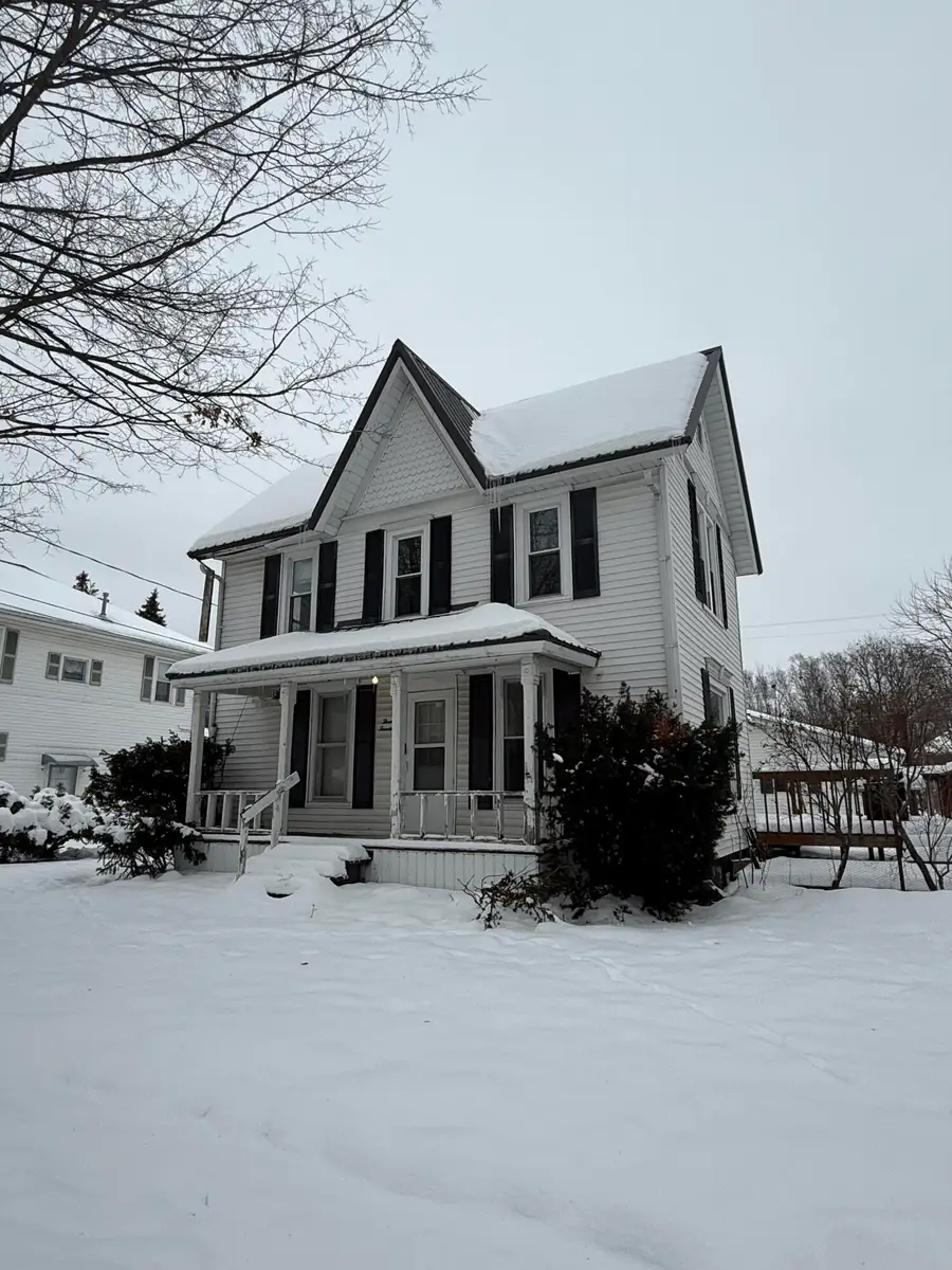 314 Cleveland Street, Nashville, MI 49073 - Image #3