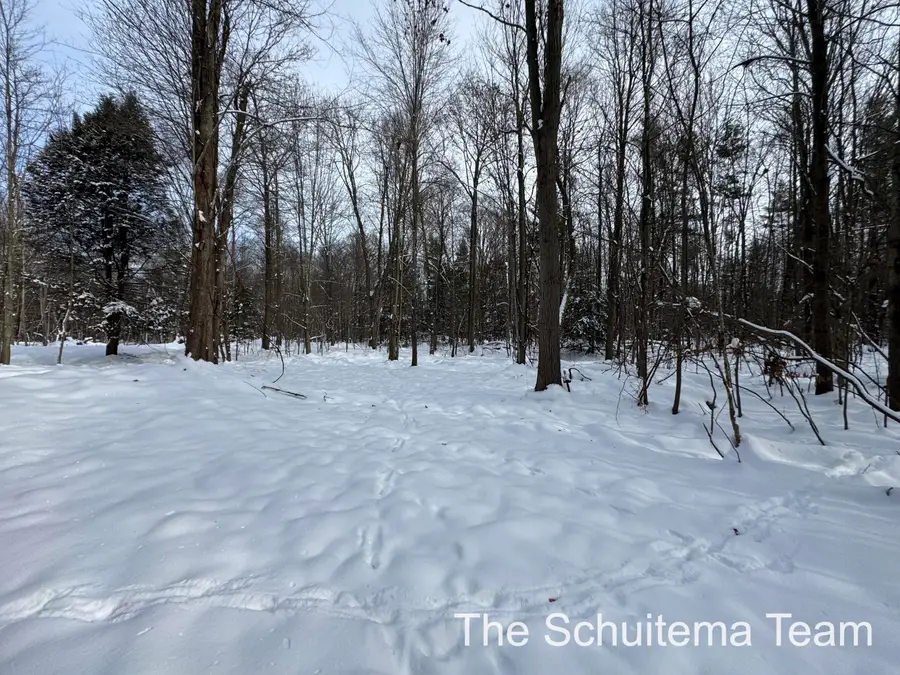 V/L Hickory Street, Fruitport, MI 49415 - Image #3