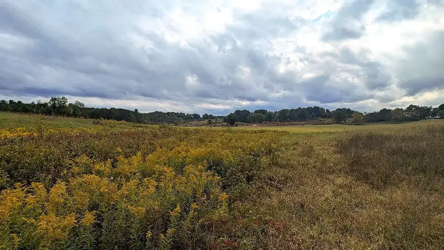 00 E 14 Mile Road #PARCEL A, Paris, MI 49338 - Image #2