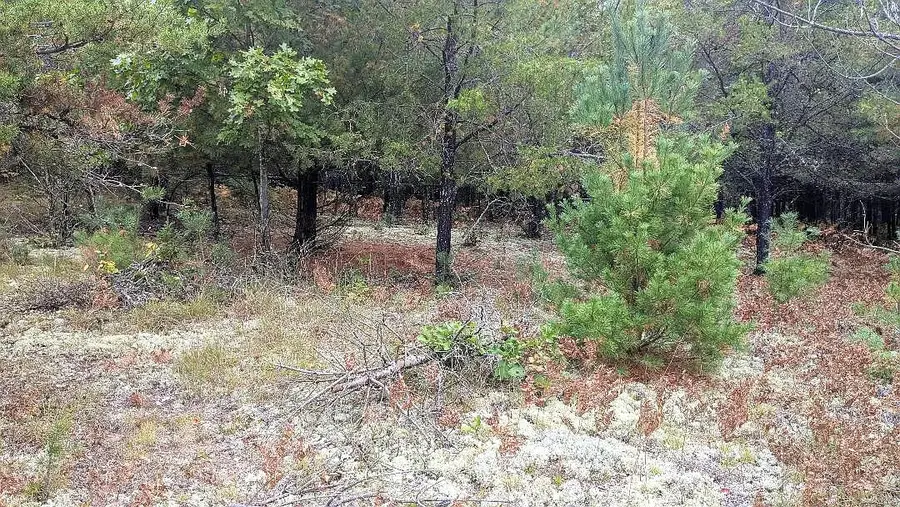 00 E 14 Mile Road #PARCEL A, Paris, MI 49338 - Image #3