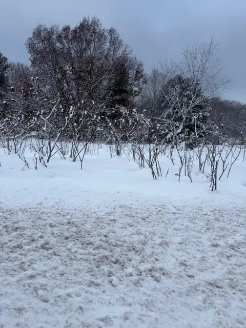 Mason Drive, Newaygo, MI 49337 - Image #1