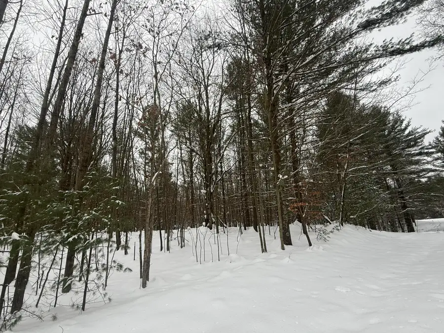 3.75 Acres Wayne Road, Pentwater, MI 49449 - Image #3