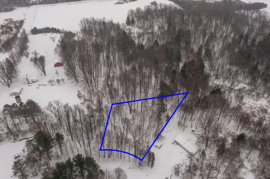 23085 Huron Trail, Evart, MI 49631 - Image #3