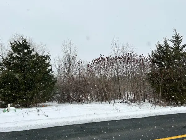 1614 66th Street, Fennville, MI 49408