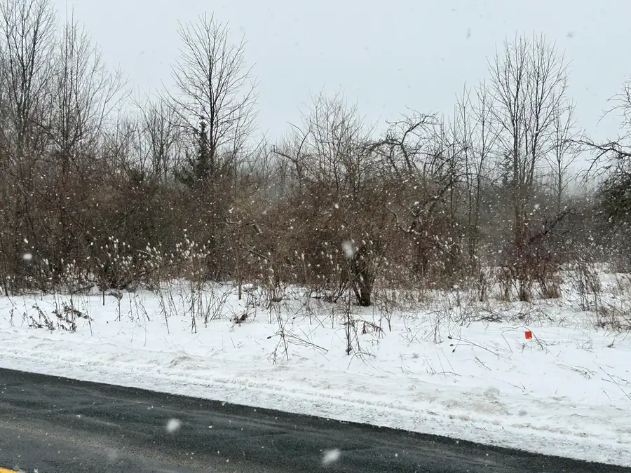 1614 66th Street, Fennville, MI 49408 - Image #3