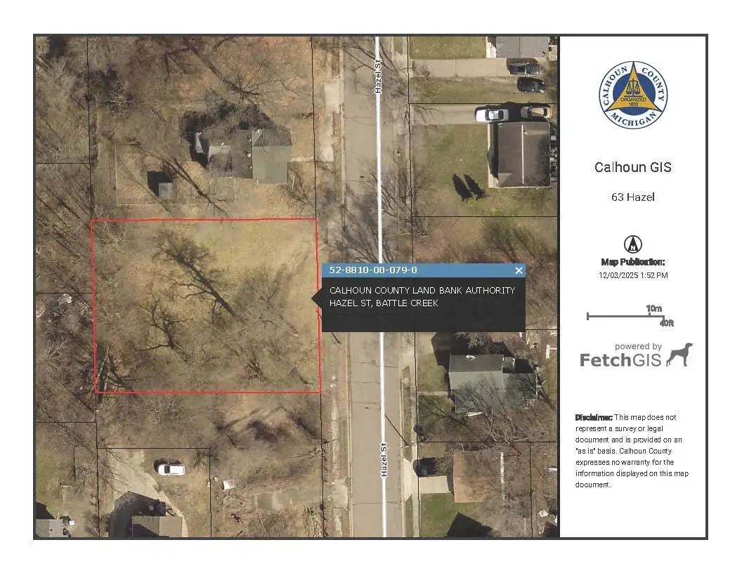 63 Hazel Street, Battle Creek, MI 49037 - Image #1