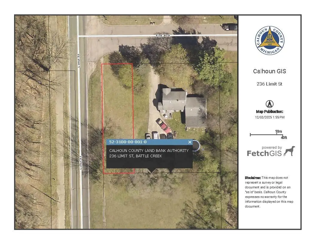 236 Limit Street, Battle Creek, MI 49037 - Image #1