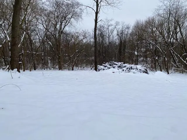 V/L E S Avenue, Vicksburg, MI 49097 - Image #3