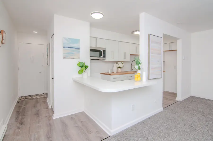 4194 Packard Street #1, Ann Arbor, MI 48108 - Image #3