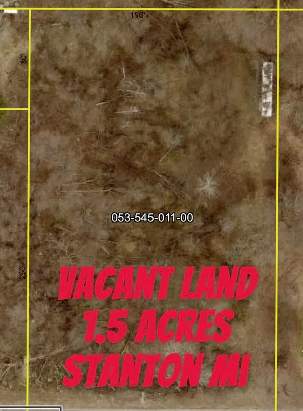 E 1st Street, Stanton, MI 48888