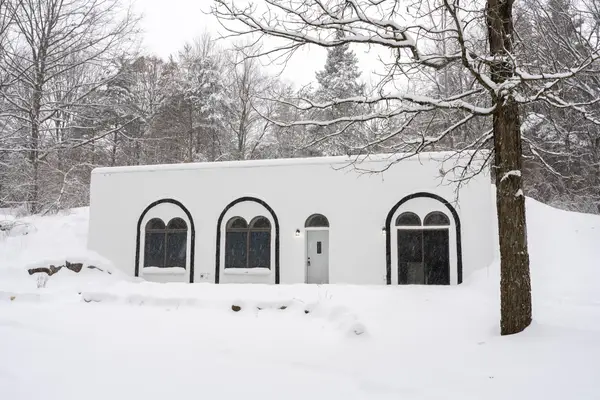 4736 S Rolland Road, Blanchard, MI 49310