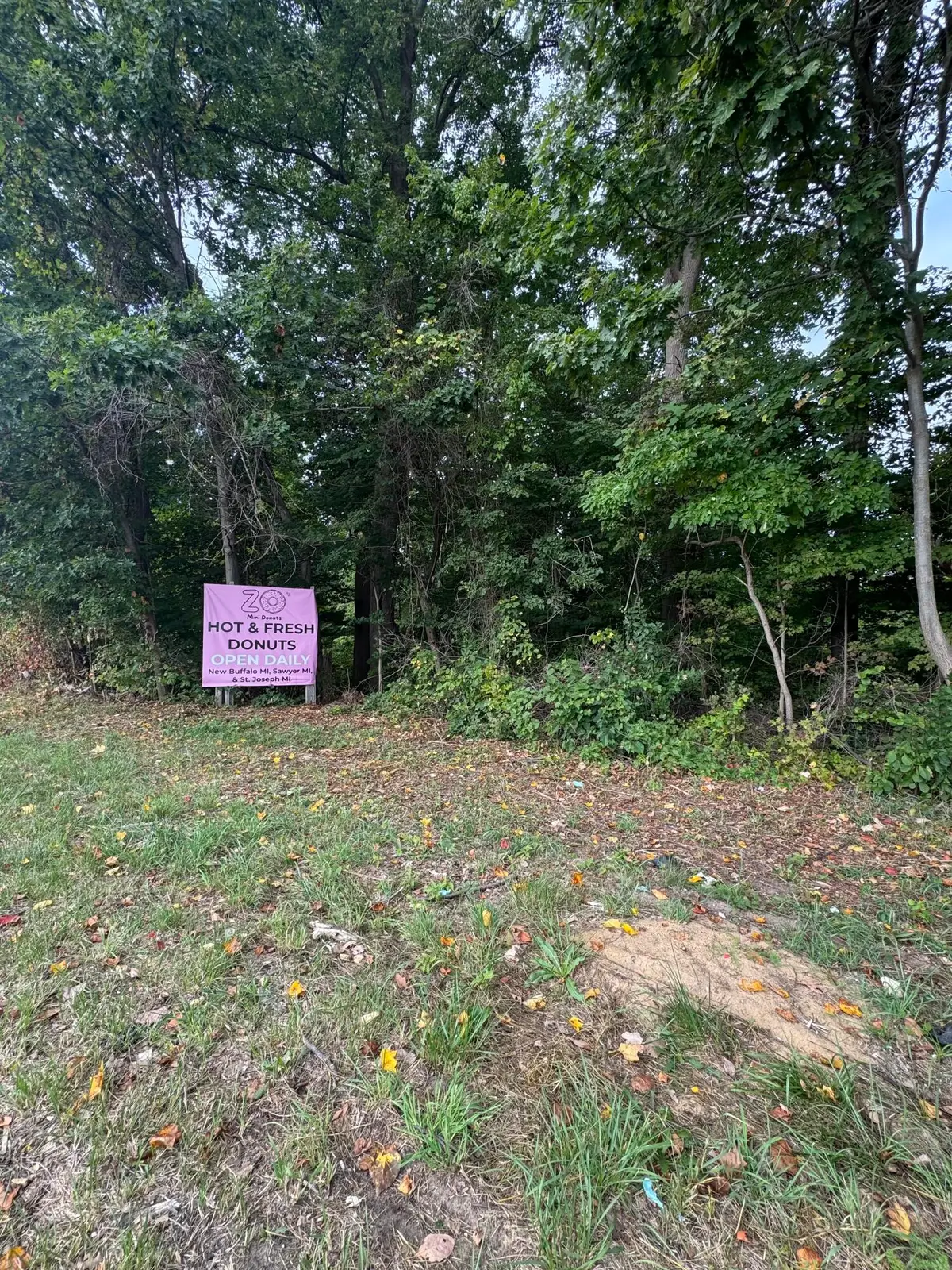 7352 Red Arrow Highway, Stevensville, MI 49127 - Image #1