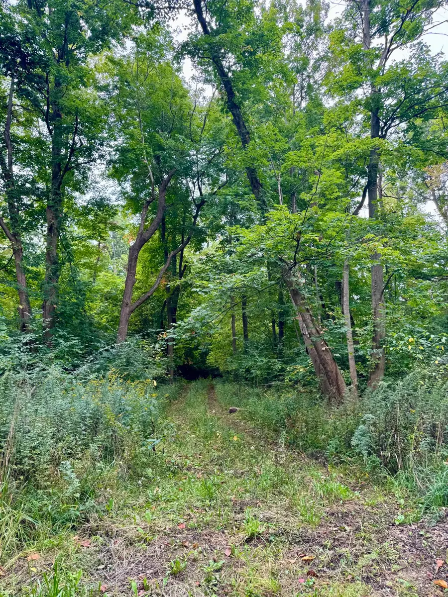 7352 Red Arrow Highway, Stevensville, MI 49127 - Image #2