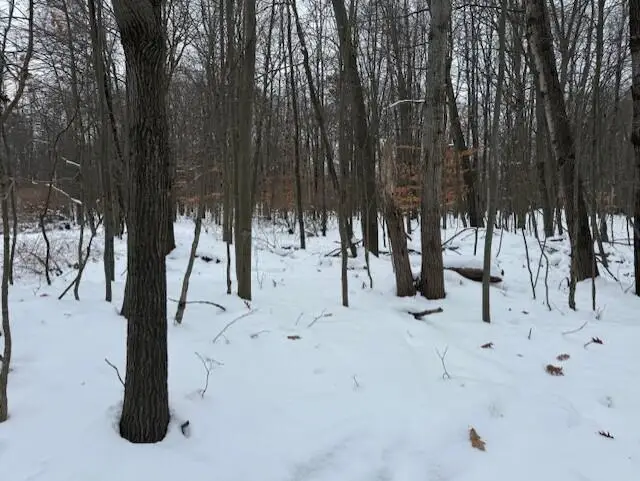 12066 Red Feather Lane, Canadian Lakes, MI 49346 - Image #1