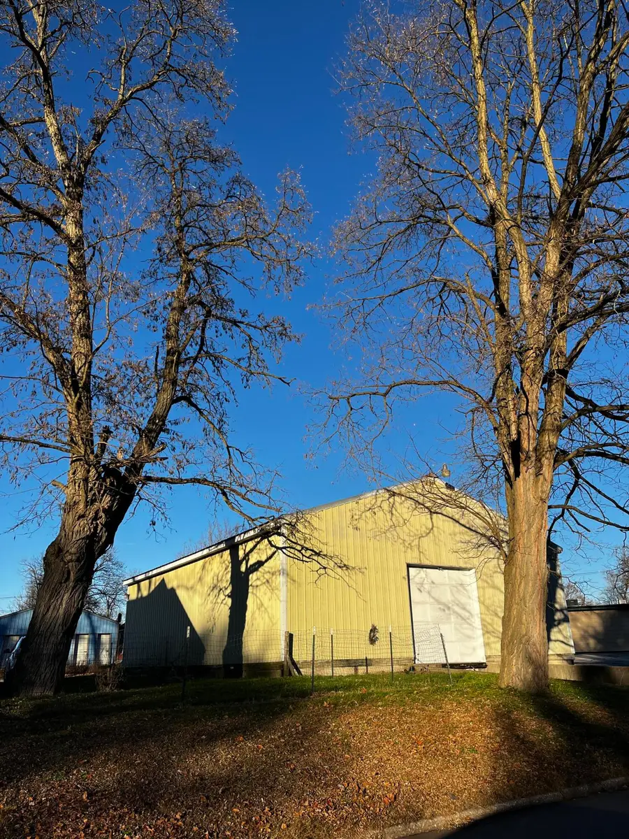 321 S 13th Street, Niles, MI 49120 - Image #2