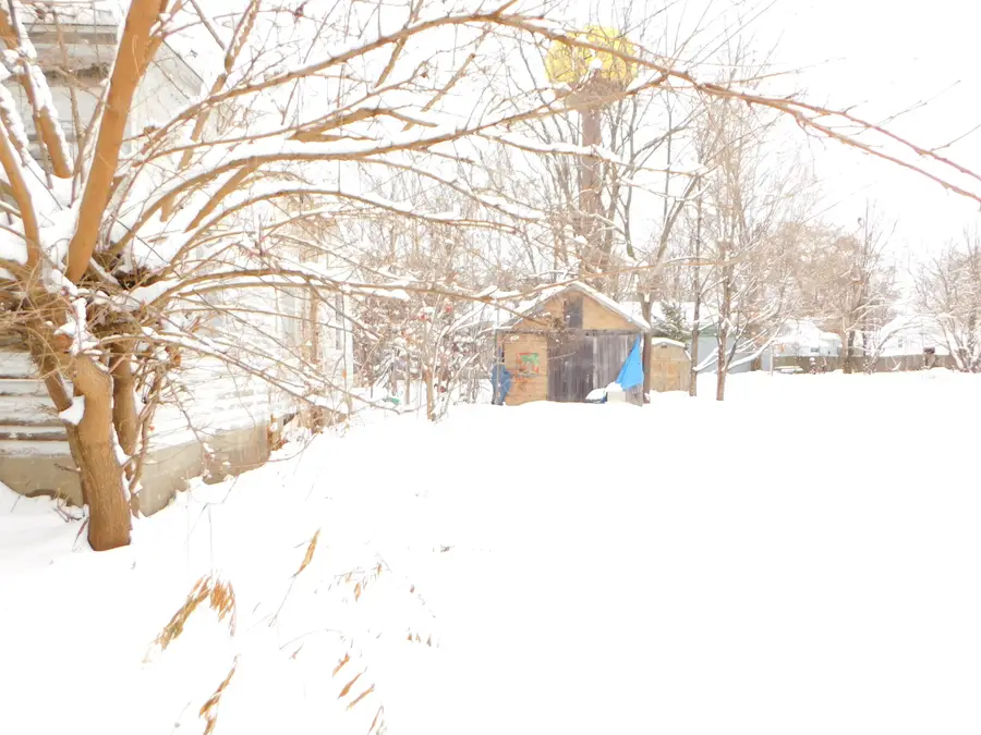 111 E Saint Marys Street, Decatur, MI 49045 - Image #3