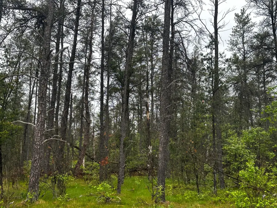 00 E 10 Mile Road #Parcel D-1, Irons, MI 49644 - Image #3