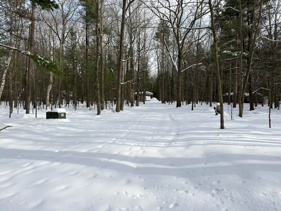 10650 Old Freesoil, Free Soil, MI 49411 - Image #3