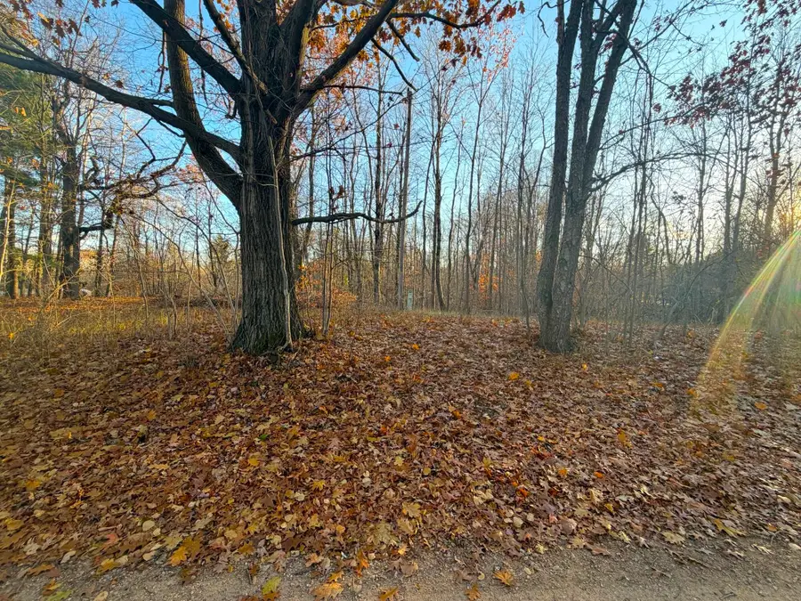 8734 E 15 Mile Road, Paris, MI 49338 - Image #3