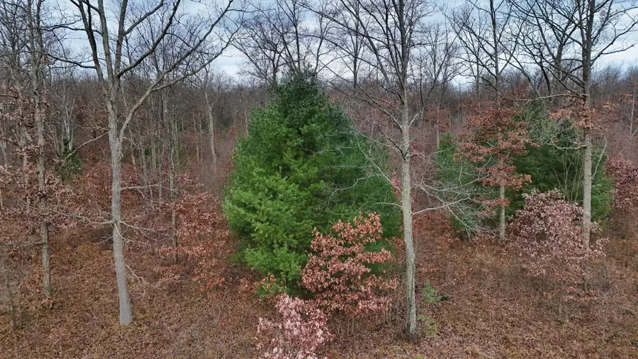 3728 N Custer Road, Manistee, MI 49660 - Image #2