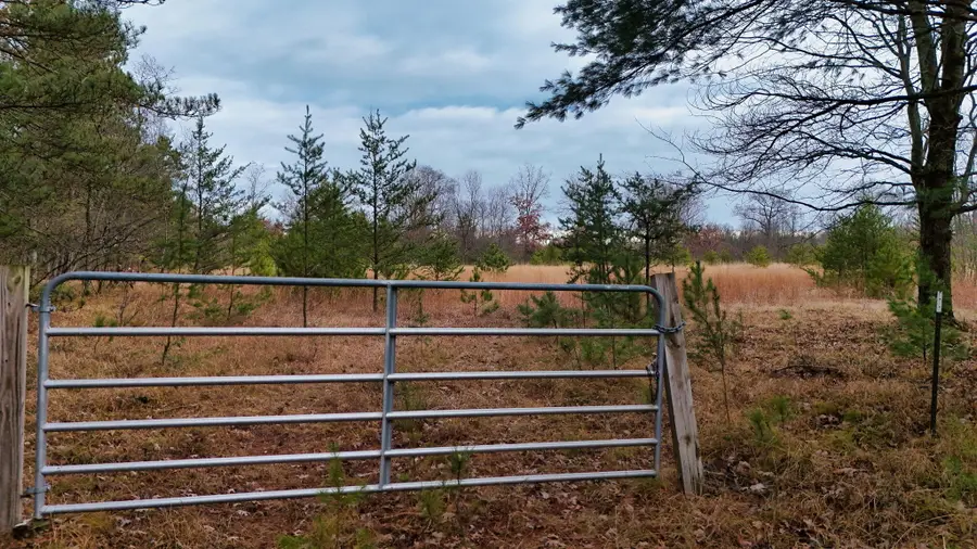 3728 N Custer Road, Manistee, MI 49660 - Image #3