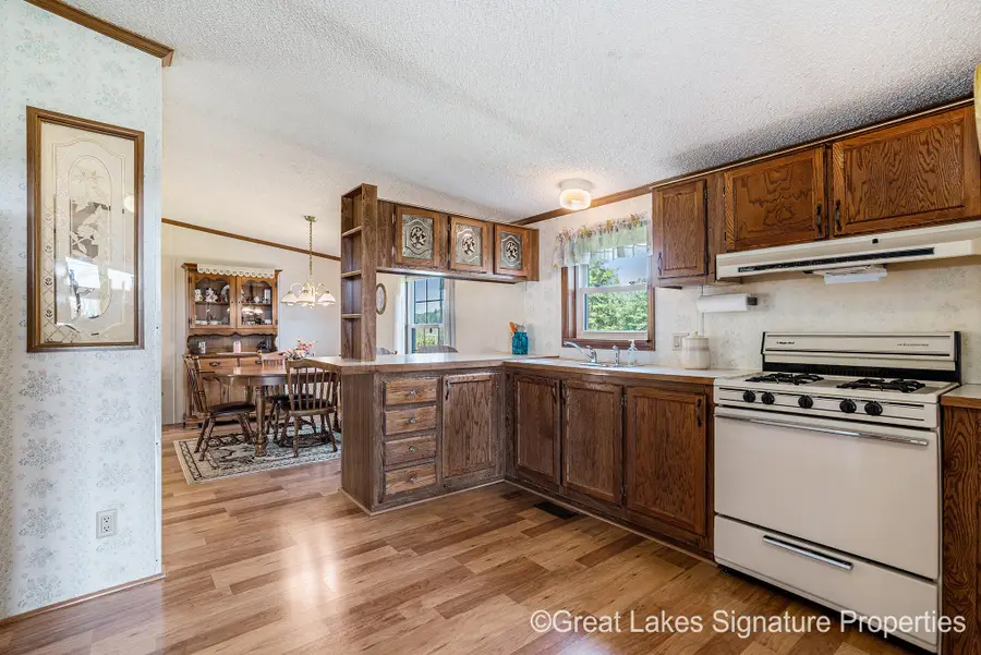 16856 W Stanton Road, Pierson, MI 49339 - Image #3
