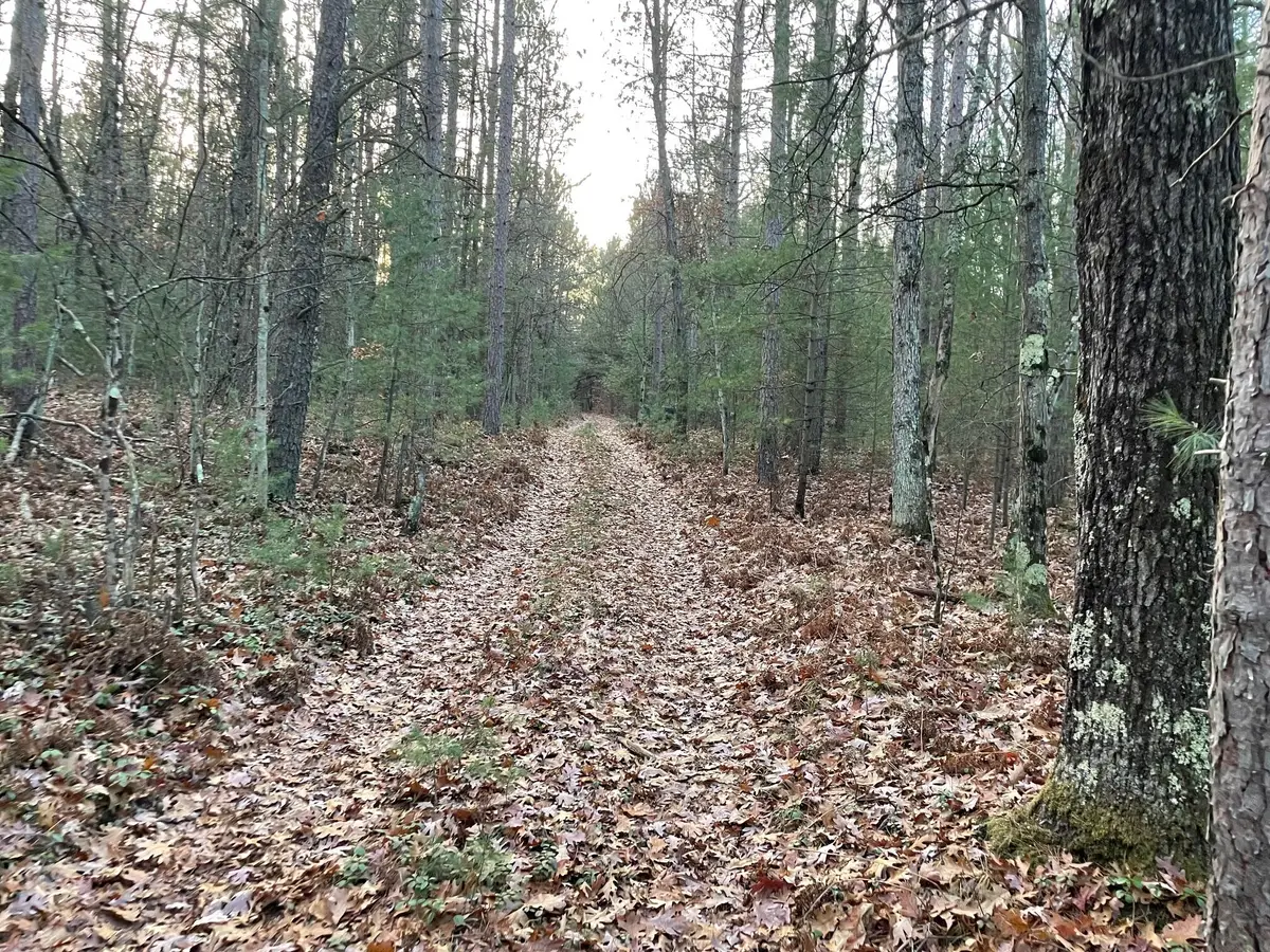 V/L Forest Service 8433/pomeroy Sp, Irons, MI 49644 - Image #1