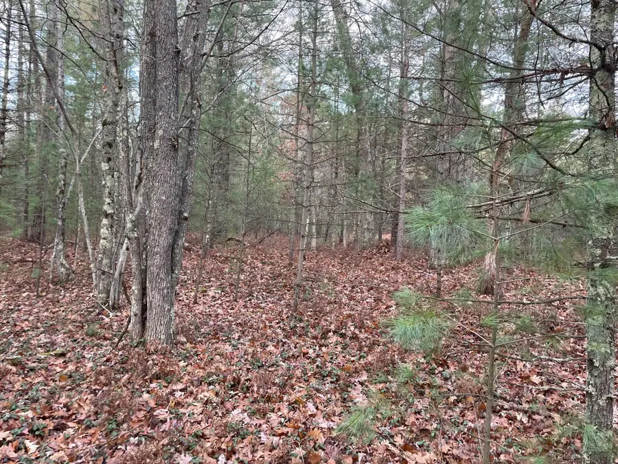 V/L Forest Service 8433/pomeroy Sp, Irons, MI 49644 - Image #3