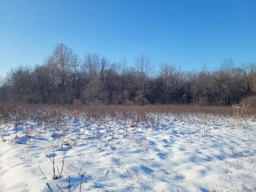 V/L N 12th Street, Plainwell, MI 49080 - Image #3