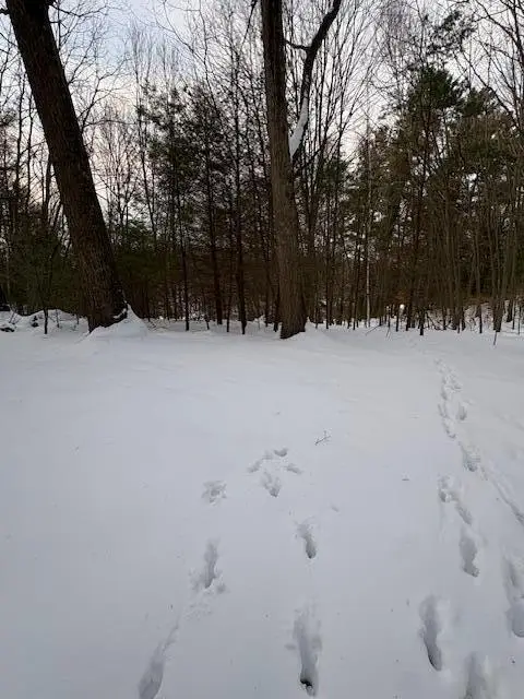 VL Bayou Road, Montague, MI 49437 - Image #2